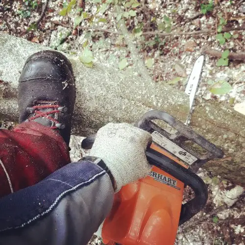 FELLING SMALL TREES