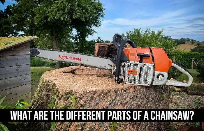 What Are the Different Parts of a Chainsaw